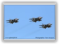 Jaguar formation